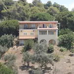 Kavourakia Kolios