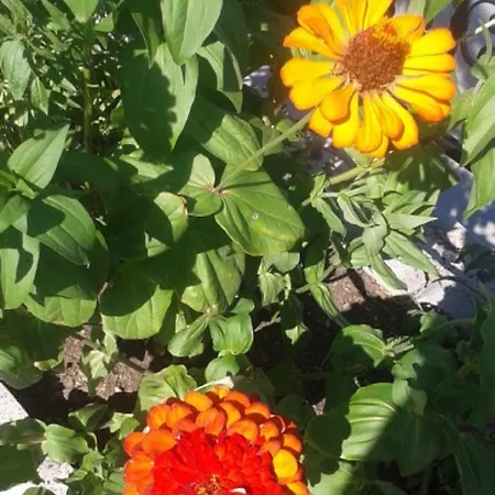 Апарт-отель Kavourakia 4*