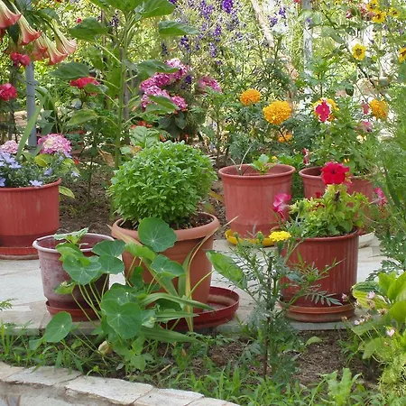 Апарт-отель Kavourakia