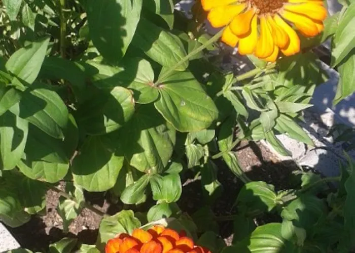 Apart-hotel Kavourakia 4*