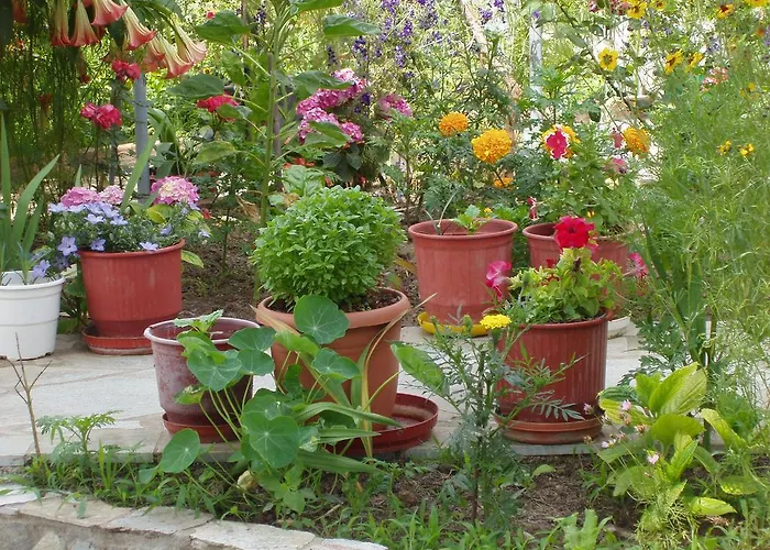 Apart-hotel Kavourakia